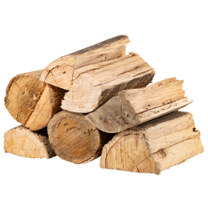 Bluegum