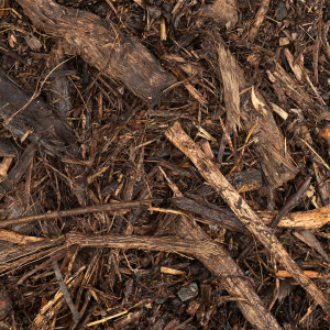 Mulch - 1st Cut